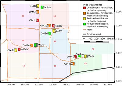 Reducing Fertilizer and Avoiding Herbicides in Oil Palm Plantations—Ecological and Economic Valuations